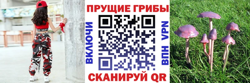 Галлюциногенные грибы MAGIC MUSHROOMS  где найти   Аткарск 